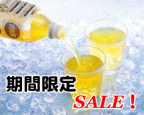 純発酵ウコン茶500ml×24本