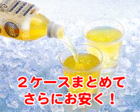 純発酵ウコン茶500ml×48本(2ケース)