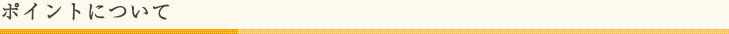 ポイントについて