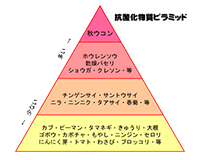 お試し純ポケットウコン100包