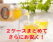 純発酵ウコン茶1.5L×16本(2ケース)