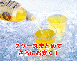 純発酵ウコン茶500ml×48本(2ケース)